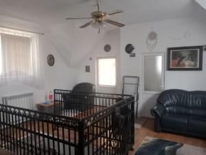 Leonardo GuestHouse Available