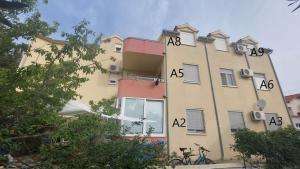 Pine Tree Dalmatia Srima