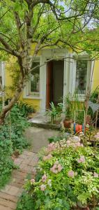 La maison jaune près du métro