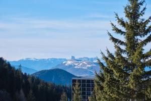 Appartements Les Airelles : photos des chambres