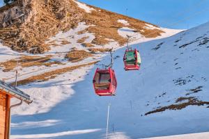 Appartements Les Flocons : photos des chambres