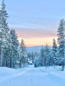 Hippu Holiday Home in peaceful location near Äkäslompolo