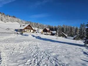 Pensiunea Scarisoara - Geoagiu de Sus