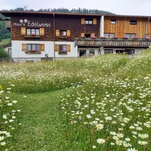 Haus Edelweiß - 容霍尔茨