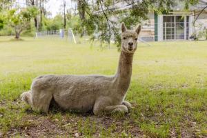 Schlaraffenland 2 by Tiny Away