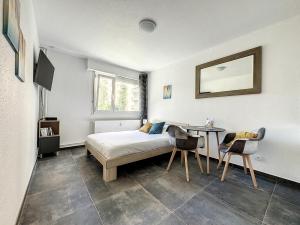 Appartements Nice appartement proche gare Near Basel Wi-fi : photos des chambres