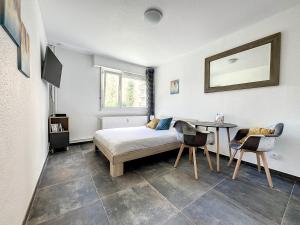 Appartements Nice appartement proche gare Near Basel Wi-fi : photos des chambres