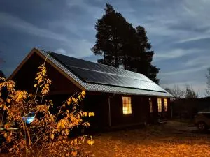 The Studio - Braxträsk