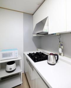 Modern 2 Bedroom 2 Bed 1-Bathroom Apartment for Rent in Gangnam Seou