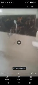 Lila farm - Khamshet