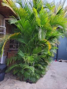 Welcome to Namangi Cabin!