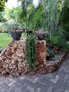 Welcome to Namangi Cabin!