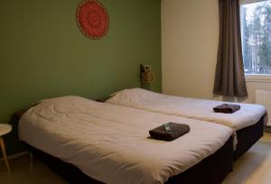 Taigaschool Eco Hotel