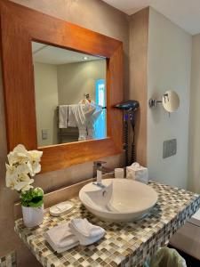 Maisons d'hotes Cannes Villa St Barth : Prestige Room with Terrace