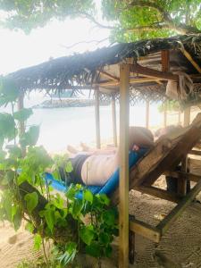 Pure Surf Villa