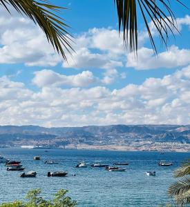 Al-Amer Aqaba Beach Hostel