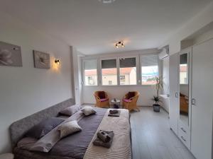 Mystic Grey Studio Apartment