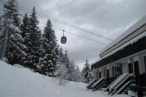 Appartamento Residence Sacha a Marilleva 1400 by Happy Holidays