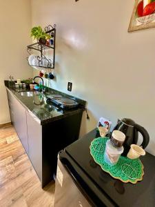 Tiny Houses Amsterdam, Timbó