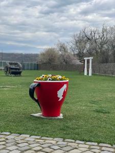 Pensiunea Câmpia Soarelui