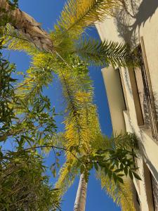 Maisons d'hotes Cannes Villa St Barth : Chambre Double Deluxe avec Terrasse
