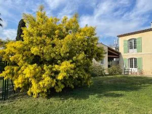 Chambre d'hôtes "La Bastide des Eucalyptus" - Plaine de la Brague