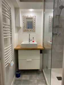 FLC - Charming T1bis 10mn Cours Julien-Nt Dame du Mont