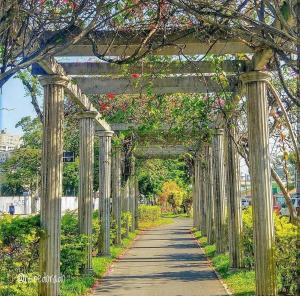 Melhor Lugar da Praia Grande