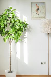 Central Retreat Schwedenplatz