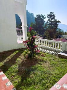 Shiv Shakti Yogpeeth Cottages