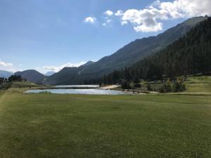 Studio cosy avec grande terrasse, animaux admis, aux pieds des pistes - FR-1-445-142