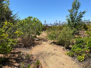 Cabaña con Piscina Guanaqueros