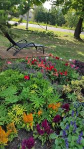 Segment rodzinny Stara Szkoła