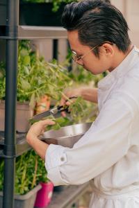 Hotels Demeures & Chateaux Auberge de la Tour - Hotel & Restaurants - Marcoles Auvergne : photos des chambres