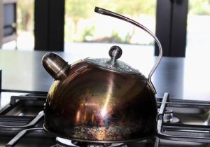 Ziziphus River Lodge