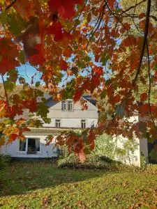 Etzauer Mühle, Apartment mit Balkon - Waldsolms