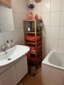 Beautiful chalet with exceptional view