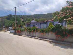 studios ARTEMIS GARDEN