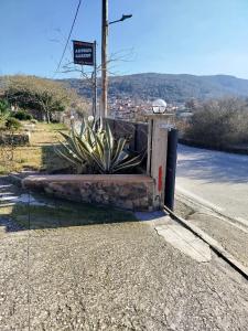 studios ARTEMIS GARDEN