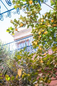 Paradise Valley-Riad de lOlivier