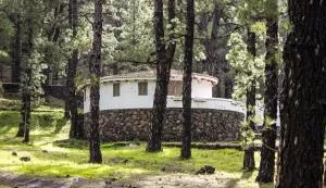 Vivienda Vacacional Finca La Redonda El Paso - Barrial