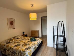Appartements T3 hyper centre : photos des chambres