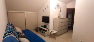 Pine Tree Dalmatia Srima