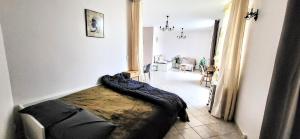 Appartements Le Bonaparte 2 : photos des chambres