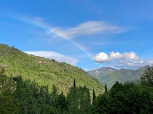 Campings Camping Domaine Sainte Madeleine : photos des chambres