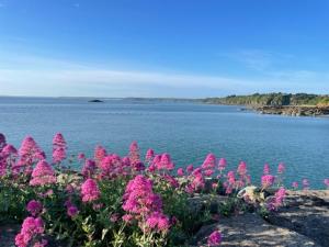 Maisons de vacances Cocon Boheme - Charme et Elegance au port : photos des chambres