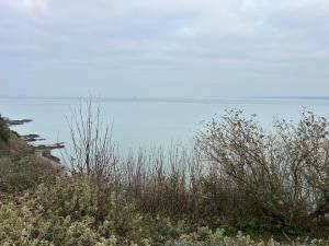 Maisons de vacances Cocon Boheme - Charme et Elegance au port : photos des chambres