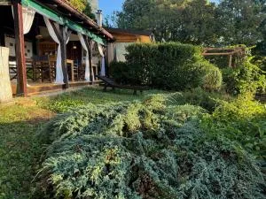 Guest House Lagotto's Peak - Dragoševci