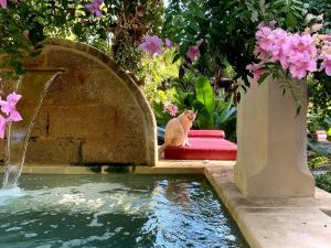 Villa Muelacuta mini piscina a 850 mt sabbia by Apulia Home