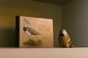 Autumn House - Home from home in Alnwick